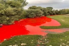 KARAPÜRÇEK DERESİ'NDE ZEHİR AKIYOR