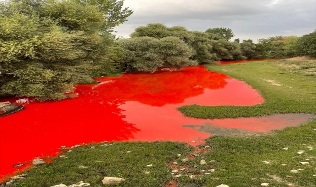 KARAPÜRÇEK DERESİ'NDE ZEHİR AKIYOR