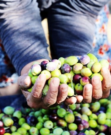 2fc9a7ce_6db9_4ff2_a296_7c028d194fb2