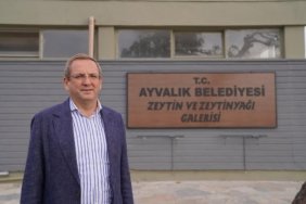 zeytin galerisi 1