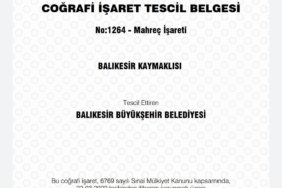 2a83520f-6f82-4fd1-859c-8c34ad7802c1