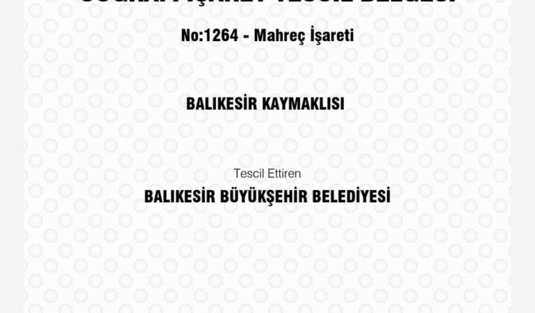 2a83520f-6f82-4fd1-859c-8c34ad7802c1