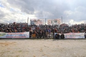 7'DEN 77'YE BURHANİYE DEVE GÜREŞLERİ