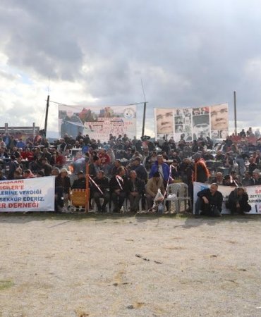 7'DEN 77'YE BURHANİYE DEVE GÜREŞLERİ