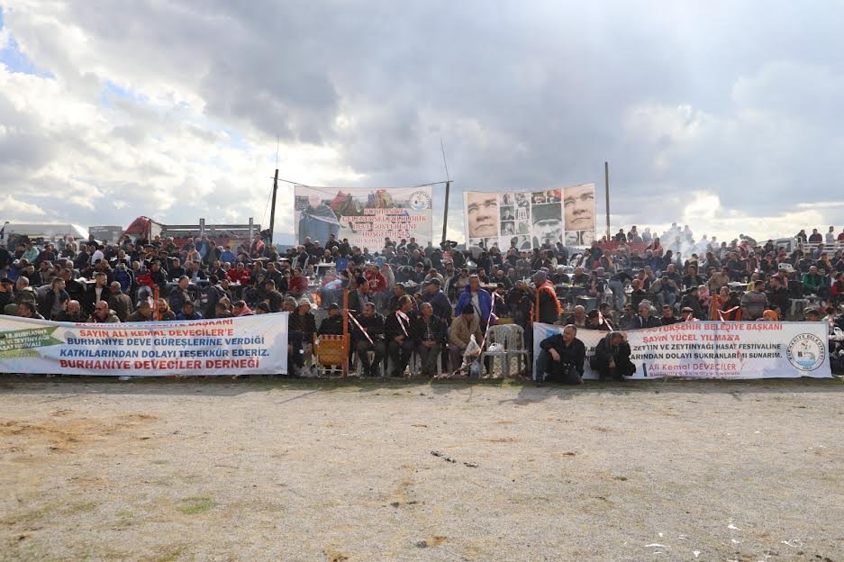 7'DEN 77'YE BURHANİYE DEVE GÜREŞLERİ