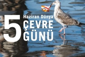 TEMİZ BİR DOĞA İÇİN PLASTİK KİRLİLİĞİNE SON VER