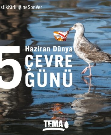 TEMİZ BİR DOĞA İÇİN PLASTİK KİRLİLİĞİNE SON VER