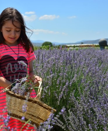 aromaterapinin_sifali_dunyasina_yolculuk_basliyor_3