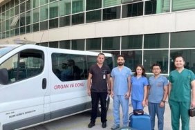 organ bağışı-2