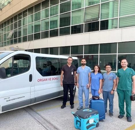 organ bağışı-2