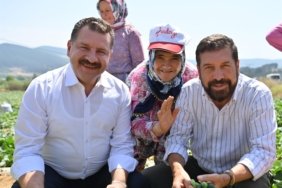 KORNİŞON SALATALIĞI BİNLERCE AİLENİN EKMEK KAPISI