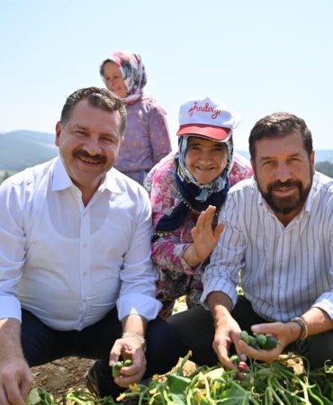 KORNİŞON SALATALIĞI BİNLERCE AİLENİN EKMEK KAPISI