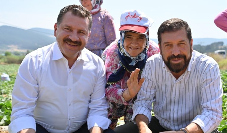 KORNİŞON SALATALIĞI BİNLERCE AİLENİN EKMEK KAPISI