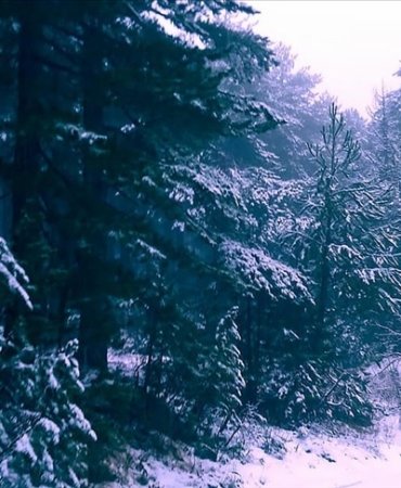 KAZDAĞLARININ YÜKSEK KESİMLERİNDE KAR YAĞIŞI BAŞLADI