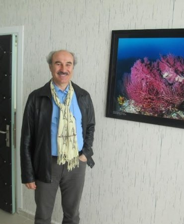 “Balıkçılığımız yönetilmiyor, yuvarlanıp gidiyor”