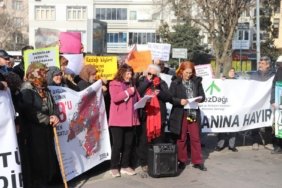 428605608_1154124199315491_1212276587030371358_n