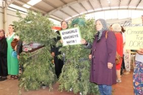 448164626_1233597274701516_2637609214417346899_n