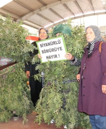 448164626_1233597274701516_2637609214417346899_n