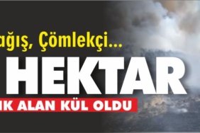 Çağış merkezli yangında 60 hektar ormanlık alan kül oldu