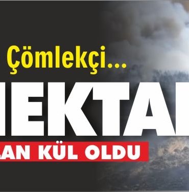 Çağış merkezli yangında 60 hektar ormanlık alan kül oldu