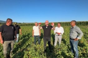 TARLADA 3, PAZARDA 15 LİRA