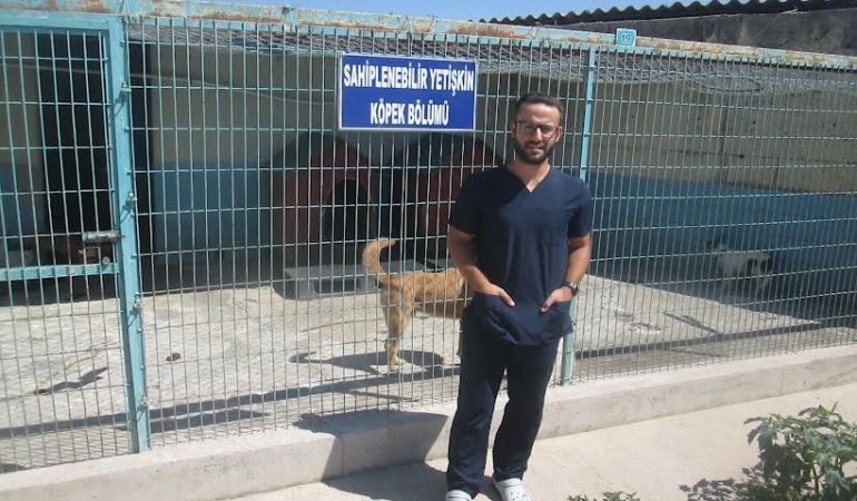 302 köpek kısırlaştırıldı