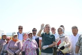 Büyükşehir Belediyesi Planlama ve Kalkınma Şirketi kurdu