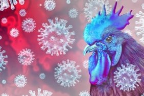 baddb7661b33db34b010f17e010acecf