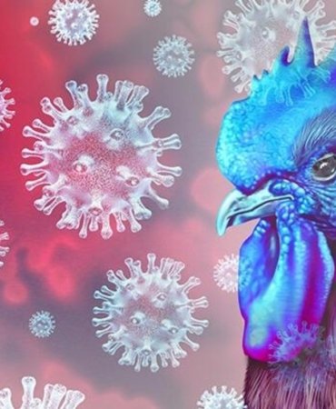 baddb7661b33db34b010f17e010acecf