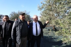 photo_2024_12_04_15_33_08_1200x800