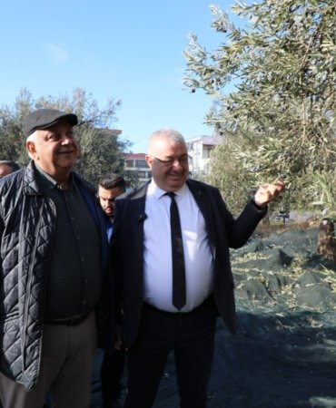 photo_2024_12_04_15_33_08_1200x800