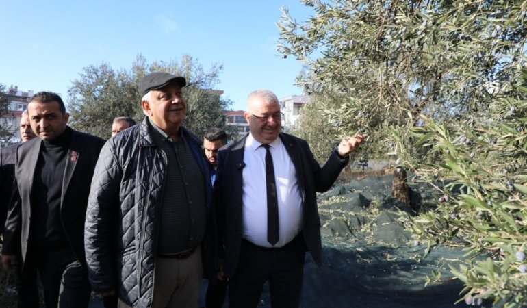 photo_2024_12_04_15_33_08_1200x800