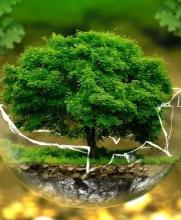 KARBONSUZ BALIKESİR PROJESİ BASİAD İLE HAYATA GEÇİYOR