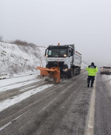 e3df87b1_b5d5_4f5f_aba4_6522917f4edf_768x1024