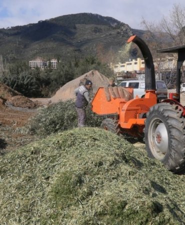 photo_2025_02_07_14_59_57_1200x800