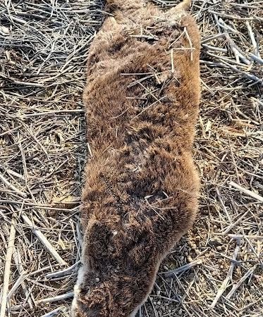 SULAK ALAN KORUMA ALTINA ALINMALI