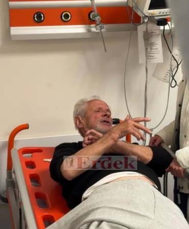 Erdek’te ayı saldırısı!