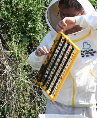 Büyükşehir’den arıcılık sektörüne önemli destek
