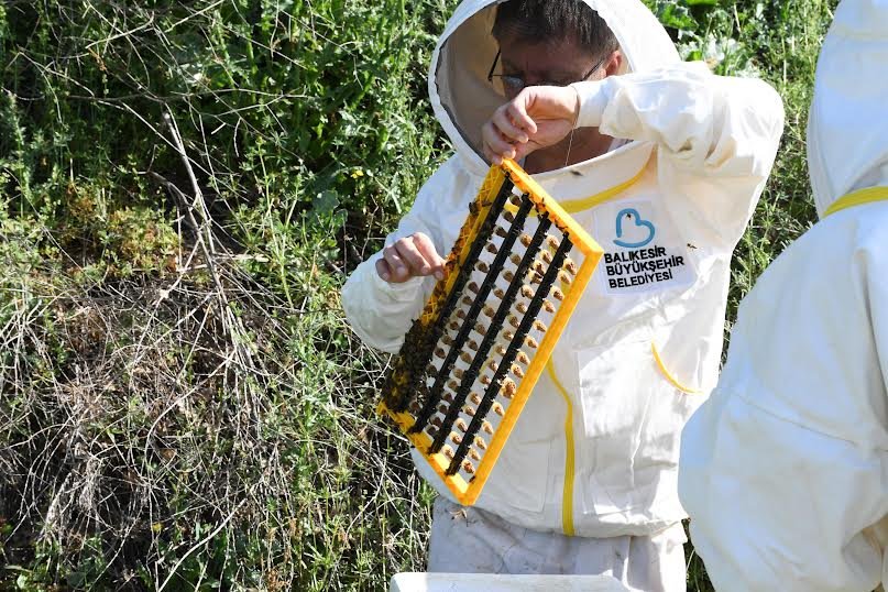 Büyükşehir’den arıcılık sektörüne önemli destek