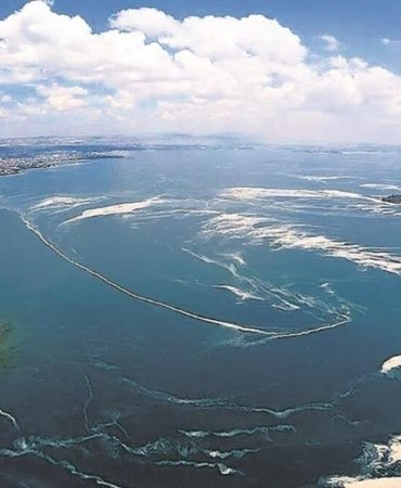 Çevre STK’larından Marmara Denizi havzası için hayati çağrı: “Ya, Deniz boğulursa?”