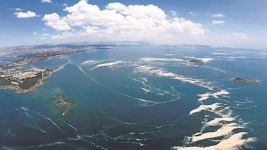 Çevre STK’larından Marmara Denizi havzası için hayati çağrı: “Ya, Deniz boğulursa?”
