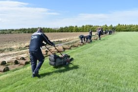 Balıkesir’de belediye kendi çimini üretiyor