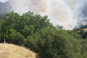 Vali Ustaoğlu Açıkladı: Balıkesir'deki Yangınlarda Son Durum