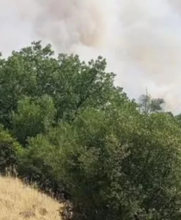 Vali Ustaoğlu Açıkladı: Balıkesir'deki Yangınlarda Son Durum