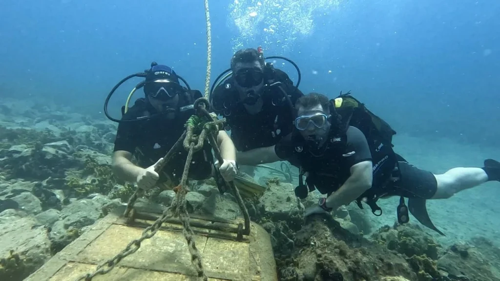 Trol Ağları Denizlere Büyük Zarar Veriyor
