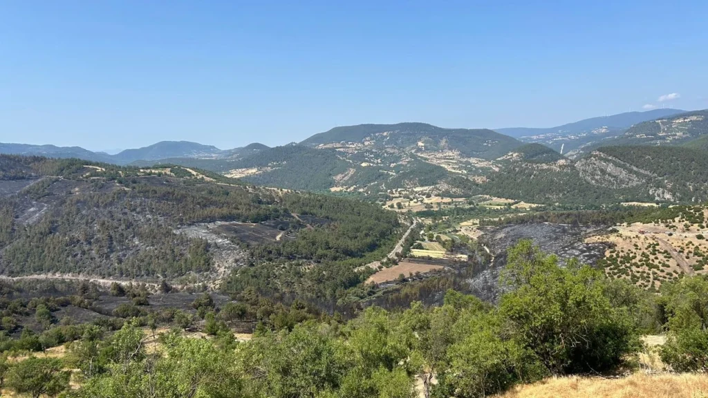 Dursunbey Yangını Kontrol Altına Alındı!