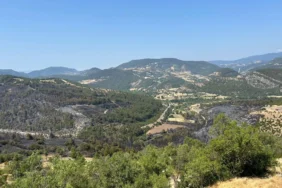 Dursunbey Yangını Kontrol Altına Alındı!