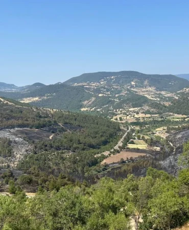 Dursunbey Yangını Kontrol Altına Alındı!