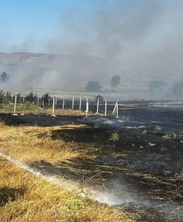 Karesi ve Şamlı Alarmdaydı! Balıkesir'de Yangın Son Anda Kontrol Altına Alındı