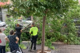 162b7f71_be51_48f8_8919_1f2e33c4cf16